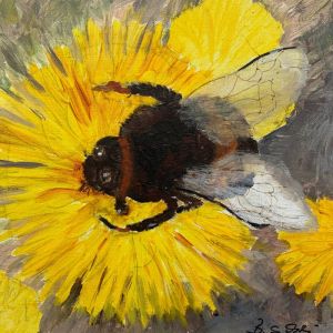 Galerie Tiere - Atelier 38 Süd