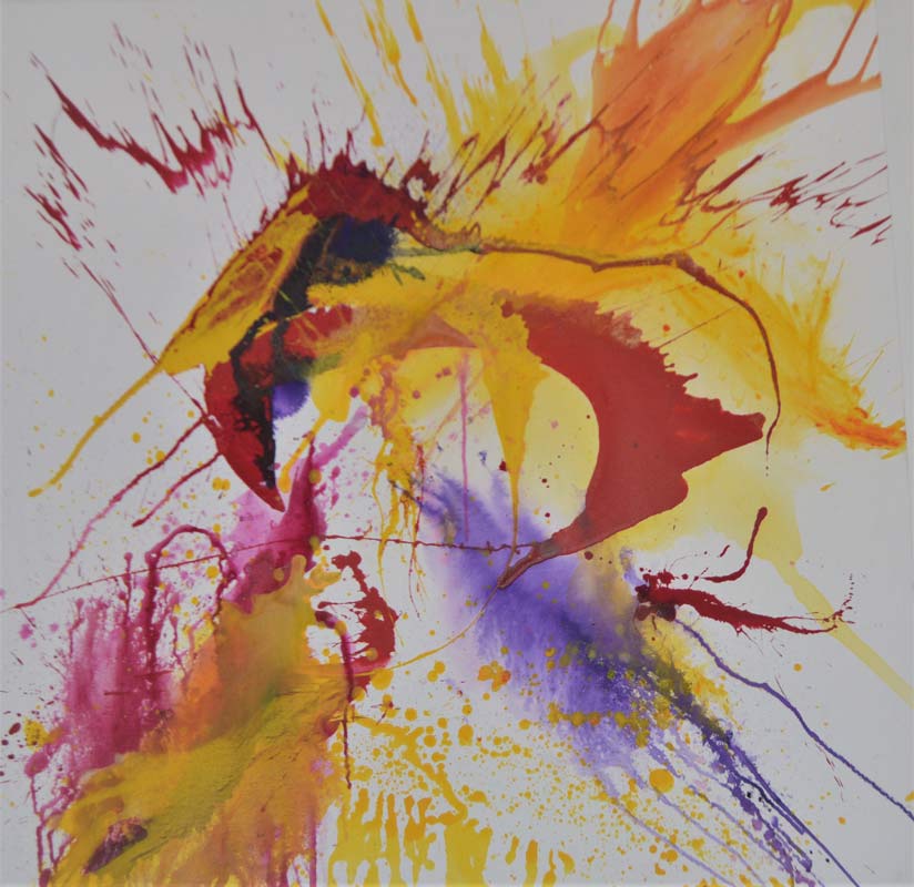 Atelier 38 süd: Brigitte Schlienkamp, Color Explosion