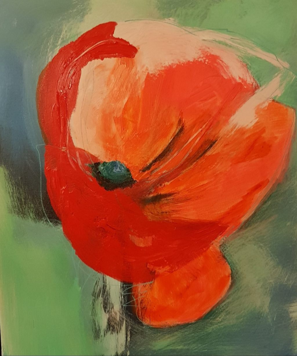 Bild Mohnblume Bild Mohnblume